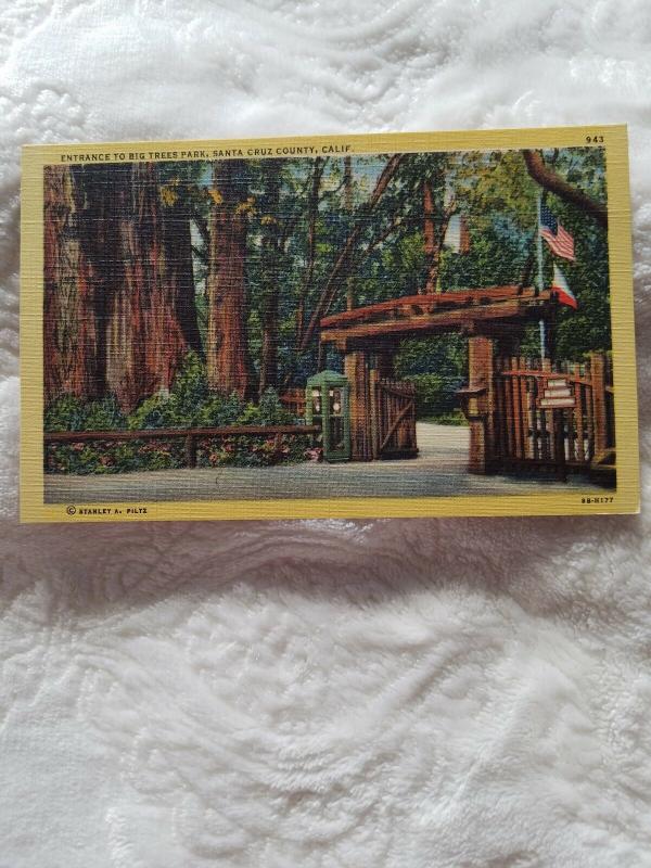 Antique Postcard, Entrance to Big Trees Park, Santa Cruz County, Calif.