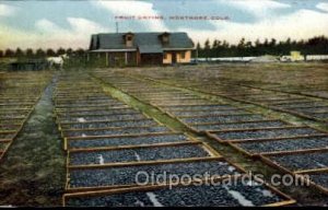 Fruit Drying, Montrose, CO Farming Unused 