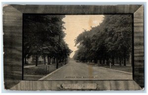 Waukegan Illinois Postcard Sheridan Road Exterior Street c1910 Vintage Antique