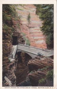 Sentry Bridge and Upper End Of Tunnel Watkins Glen New York Curteich