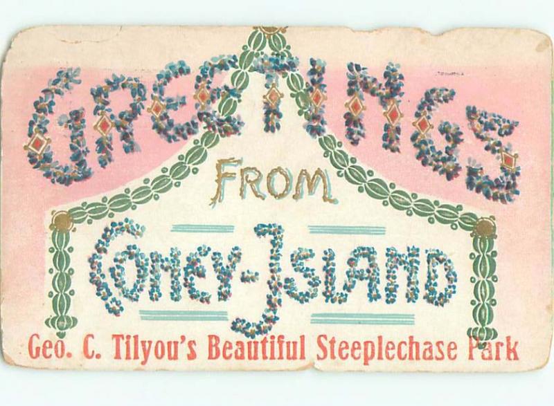 1912 Steeplechase Park At Coney Island BROOKLYN - NEW YORK CITY NY AC4018