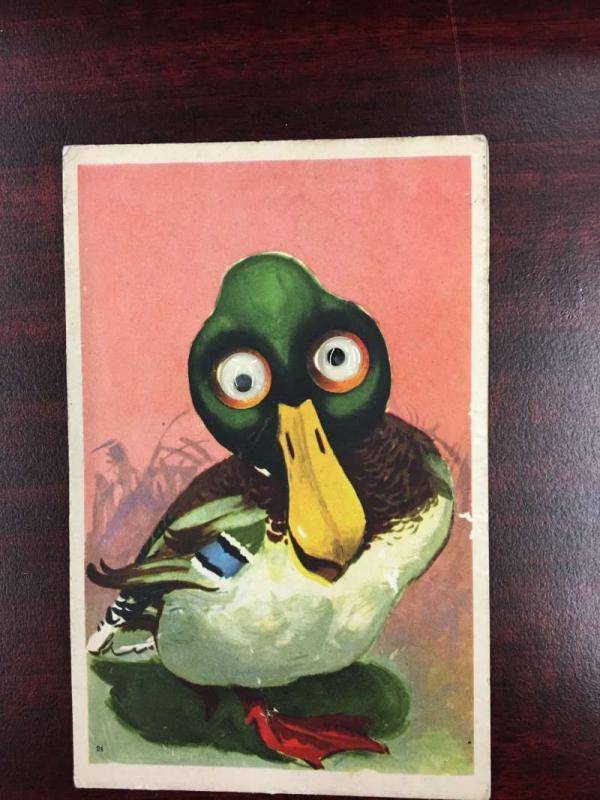 Google Eye Mallard Duck Greeting Antique Postcard K58886