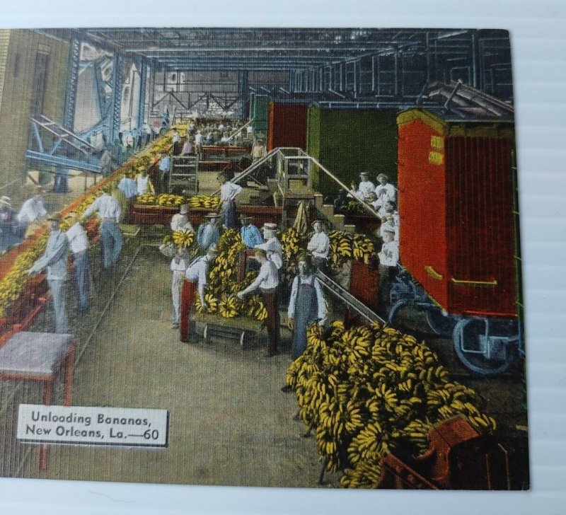 New Orleans Unloading Bananas Vintage Postcard linen natural color unposted