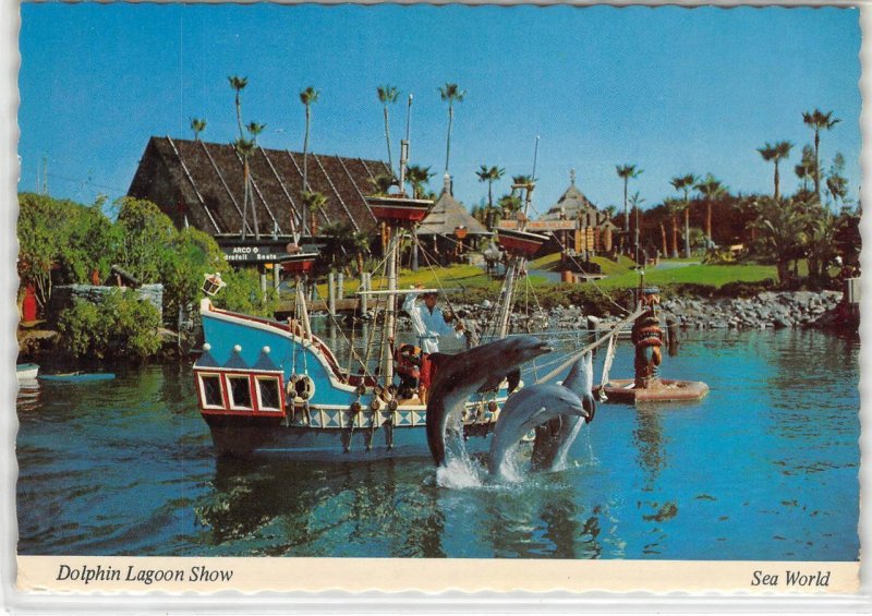 Dolphin Lagoon Show SEA WORLD San Diego, CA 4x6 ca 1970s Vintage Postcard | United States - California - San Diego, Postcard / HipPostcard