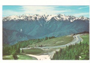 Hurricane Ridge, Mt Olympus, Bailey Range, Olympic National Park WA, Postcard