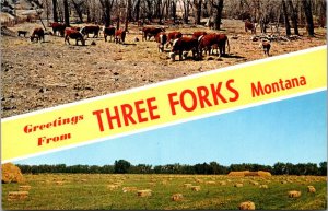 Greetings From Three Forks Montana Multi View