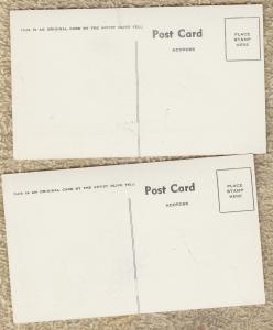 Humorous Bears Postcards Cartoon By Olive Fell