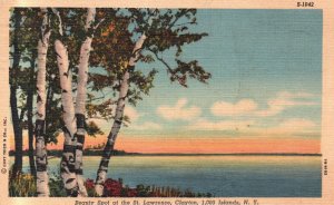 Vintage Postcard 1949 Beauty Spot St. Lawrence River Clayton 1000 Islands N.Y.