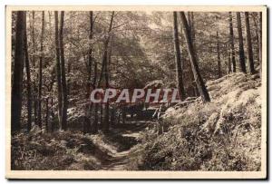 Huelgoat - Road in the forest - Old Postcard