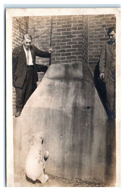 1910s Two Men Posed with a Polar Bear Tobacco Sculpture RPPC Photo Postcard