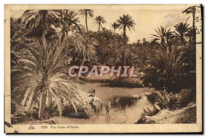 Old Postcard A Corner of & # 39Oasis