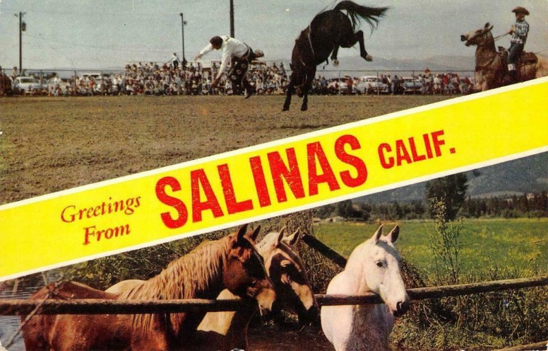 SALINAS, CA Rodeo Cowboys Horses Monterey County 1959 Chrome Vintage Postcard