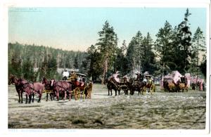 YELLOWSTONE, WYLIE PERMANENT CAMP, DIVIDED BACK
