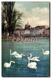 Switzerland Geneve Old Postcard L & # 39ile Rousseau and swans