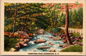 Vtg 1930s Creek View Greetings from Summerton South Carolina SC Postcard