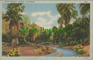 America Postcard - Palm Springs Canyon, California  RS25669