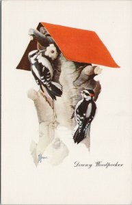 Downy Woodpecker Birds Birdhouse Betty Carnes Francis Lee Jaques Postcard E92