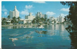 America Postcard - Hotel Row and Indian Creek - Miami Beach - Florida  DP344