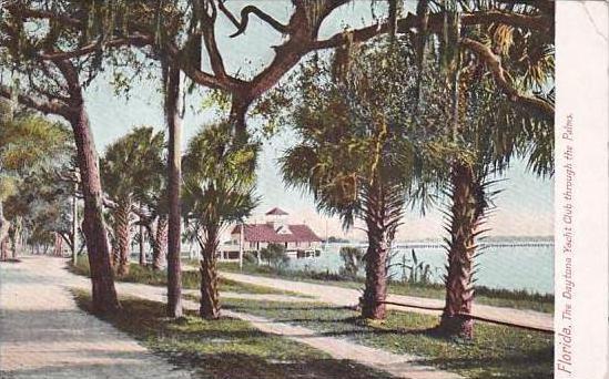 Florida Daytona Yacht Club Through The Palms 1912