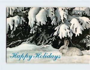 Postcard Happy Holidays with Snowshoe hare painting by G. Van Frankenhuyzen