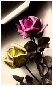 Roses , Colored RPC
