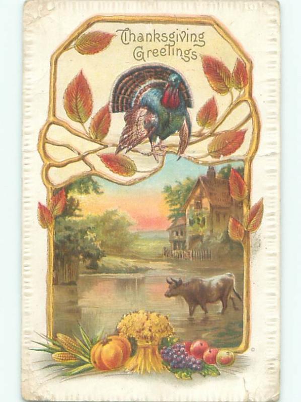 Divided-Back THANKSGIVING SCENE Great Postcard AA0572