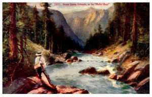 Colorado Fraser Canon, Fly Fishing on Moffat Roas
