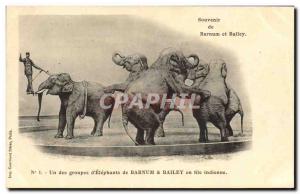 Old Postcard Barnum and Bailey Circus A d & # 39elephants group in single fil...