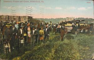 Norfolk VA Strawberry Pickers c1910 Postcard