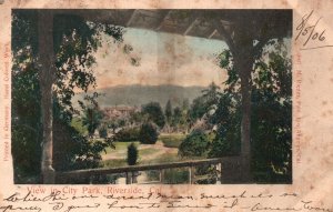 Vintage Postcard 1906 View In City Park Riverside California CA M. Reider Publ.