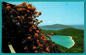 Virgin Islands, St Thomas - Magens Bay  - [FG-347]