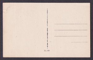 FRANCE, RPPC Postcard, Vienne, Pablic Garden