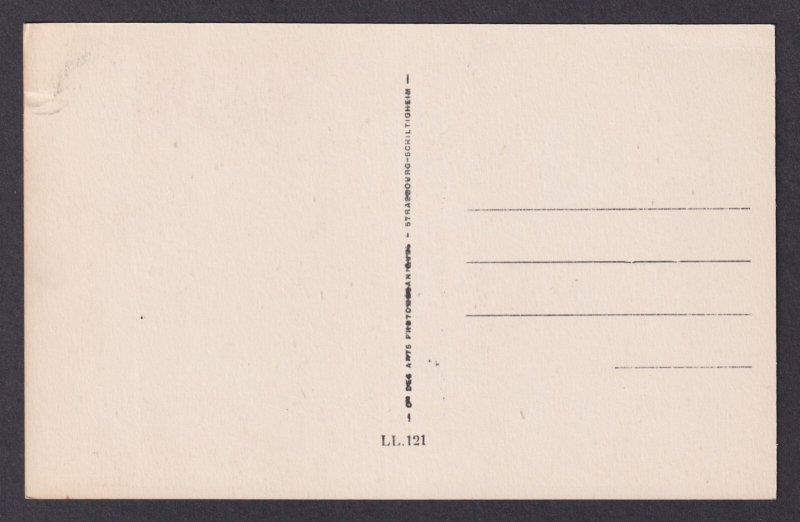 FRANCE, RPPC Postcard, Vienne, Pablic Garden