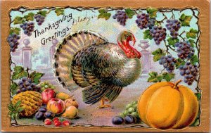 Thanksgiving Postcard Turkey Pumpkin Fruit Grapevine~2442