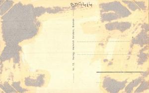 BF7414 bremen nihle herdentor wind mill germany moulen a vent     Germany