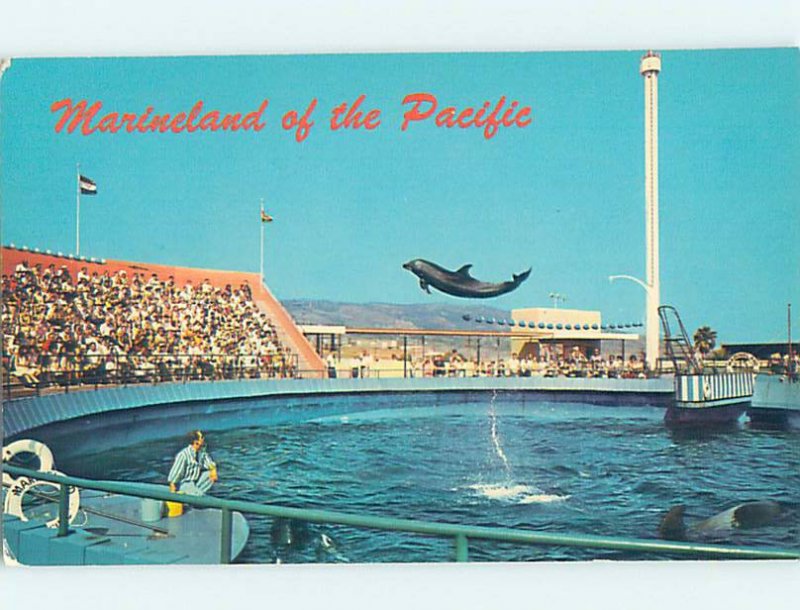 Pre-1980 MARINELAND SCENE Palos Verdes - Los Angeles California CA AF9619