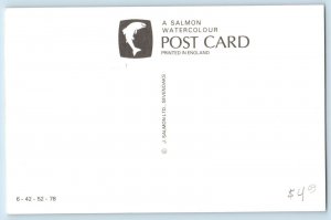 Willy Signed Postcard The Party Cake Salmon Dressed Anthropomorphic Animals