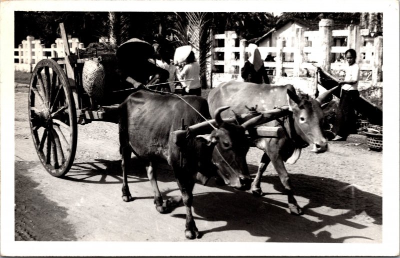 RPPC Ox Cart  Rural Scene Women and Wagon southeast asia or india?