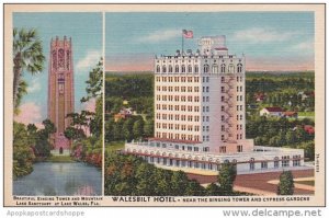 Beautifulo Singing Tower And Mountain Lake Sanctuary Walesbilt Hotel Lake Wal...