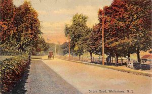Shore Road Buggy Whitestone Queens New York New York 1910c postcard