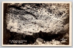 South Dakota RPPC A Boxwork Ceiling In Wind Cave Real Photo Postcard Y21