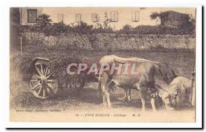 Basque Type Old Postcard Hitch (oxen)