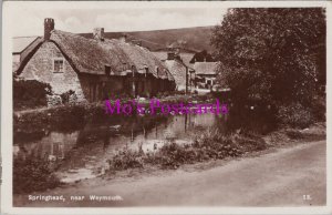 Dorset Postcard - Springhead, Near Weymouth, Real Photo  RS38692