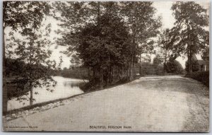 Beautiful Robinson Park Lake Trees Roadway Hiking Trail House Postcard