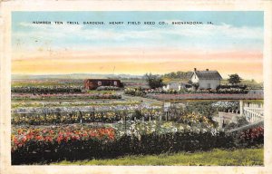 Henry Field Seed Co Number Ten Trial Gardens Shenandoah, Iowa