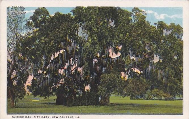 Louisiana New Orleans Suicide Oak In City Park Curteich