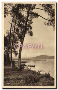 Old Postcard Landes trees Beach