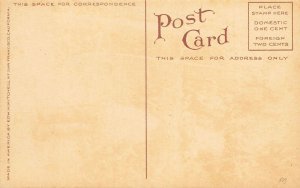 Sioux Indian Crazy Horse Postcard