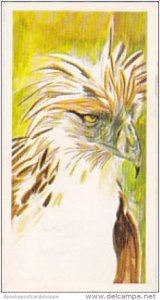 Brooke Bond Vintage Trade Card Vanishing Wildlife 1978 No 11 Monkey Eating Eagle