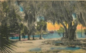 Postcard 1920s  Florida hand colored Live Oaks Spanish Moss Sunny 23-11208